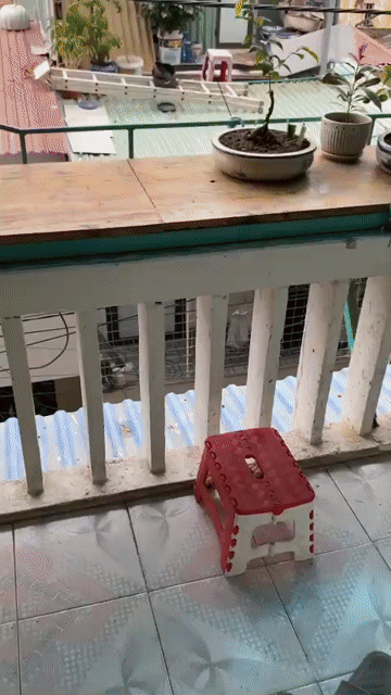 Mua bán Căn hộ Chung cư Quận Ngô Quyền Hải Phòng diện tích 52 m² giá 650 triệu