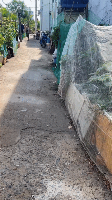 Mua bán Nhà ở Huyện Cần Giờ Tp Hồ Chí Minh diện tích 230.3 m² giá 3,5 tỷ