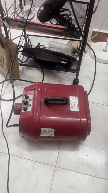 Máy sấy thú cưng Đỏ đã sử dụng. Mua bán Phụ kiện, Thức ăn, Dịch vụ tại Quận Tân Phú Tp Hồ Chí Minh được đăng bởi Đức Nguyễn hình 1