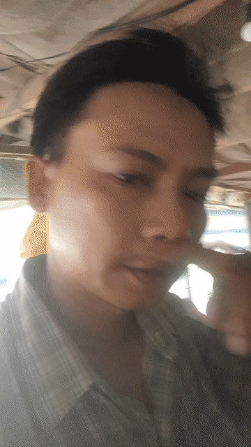 chim yến phụng (một cặp) ngẫu nhiên. Mua bán Chim tại Huyện Mỏ Cày Nam Bến Tre được đăng bởi TRI NGUYỄN VĂN hình 1