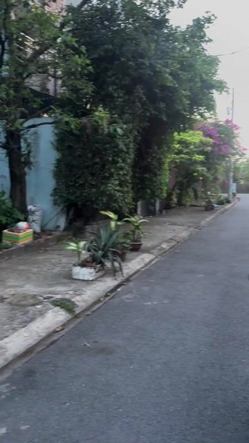 SYM Elegant  2018 Xanh đen len ken Mới 85 %. Mua bán Xe máy tại Thành phố Thủ Đức Tp Hồ Chí Minh được đăng bởi Nguyễn Thanh Bình hình 1