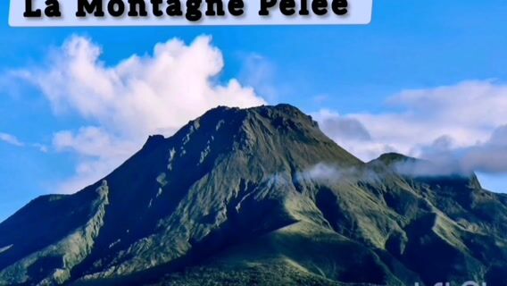 Bac Pro Métiers du commerce et de la vente