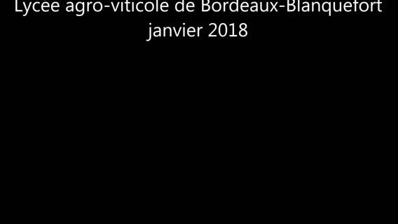 rejoins-moi ! BTS Viticulture-Oenologie du Lycée agroviticole de Bordeaux-Blanquefort