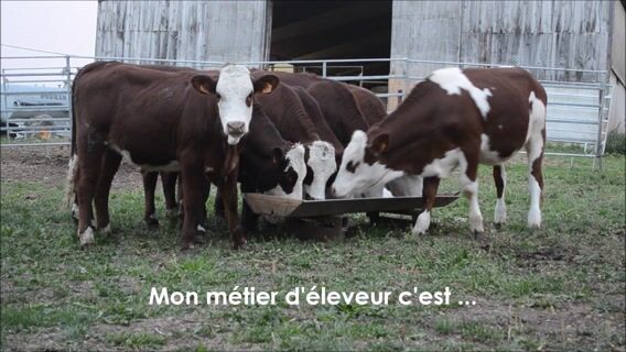 Mon métier, ma passion