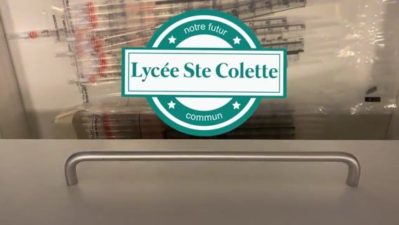 Haut comme trois pommes.