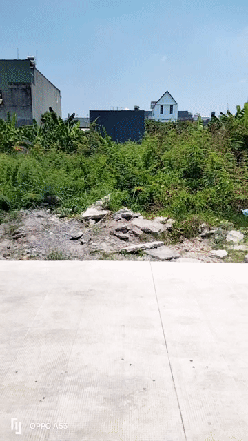 Mua bán Đất Huyện Đức Hòa Long An diện tích 137.5 m² giá 1,2 tỷ
