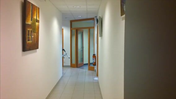 DES PEINTRES PRESQUE PARFAITS