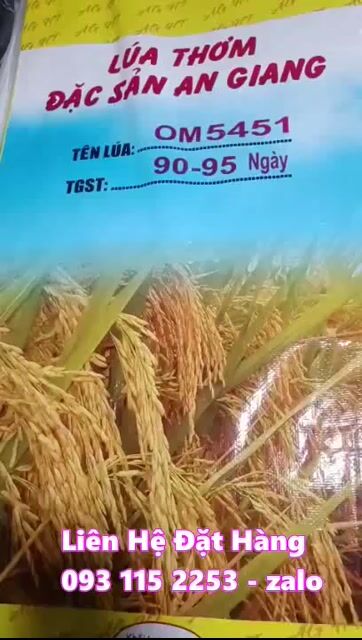 Bao lúa giống 40kg có lồng sẵn nilong. Mua bán Đồ chuyên dụng, Giống nuôi trồng tại Thành phố Bạc Liêu Bạc Liêu được đăng bởi Sơn Huỳnh hình 1