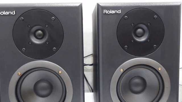 Roland Bi-Amp Monitor DS-50A có giải mã DAC. Mua bán Tivi, Âm thanh tại Thành phố Thủ Dầu Một Bình Dương được đăng bởi Lê Nguyễn Audio hình 1