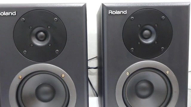 Roland Bi-Amp Monitor DS-50A có giải mã DAC. Mua bán Tivi, Âm thanh tại Thành phố Thủ Dầu Một Bình Dương được đăng bởi Lê Nguyễn Audio hình 1