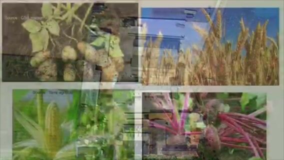 Le métier d'agriculteur