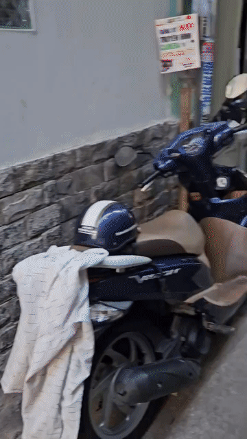 Mua bán Nhà ở Quận 7 Tp Hồ Chí Minh diện tích 50 m² giá 5,55 tỷ