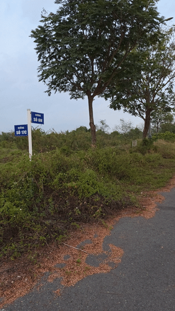 Mua bán Đất Biên Hòa New City Thành phố Biên Hòa Đồng Nai diện tích 533 m² giá 5,4 tỷ