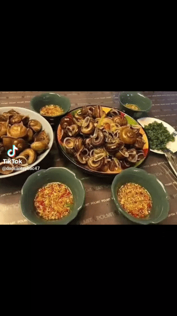 Ốc núi Tây Bắc tươi sống. Mua bán Đồ ăn, thực phẩm và các loại khác tại Quận Bình Tân Tp Hồ Chí Minh được đăng bởi Quà Tặng Cát Tường  hình 1