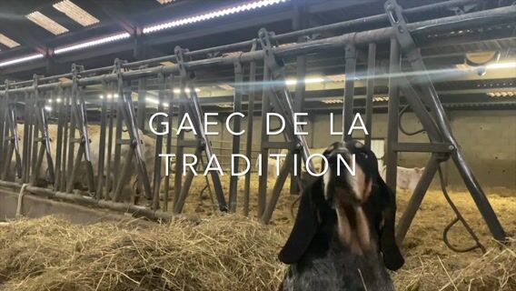 Producteur de fromages - GAEC de la tradition