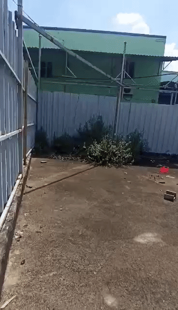 Mua bán Đất Khu căn hộ 584 Tân Kiên Huyện Bình Chánh Tp Hồ Chí Minh diện tích 201 m² giá 6,5 tỷ