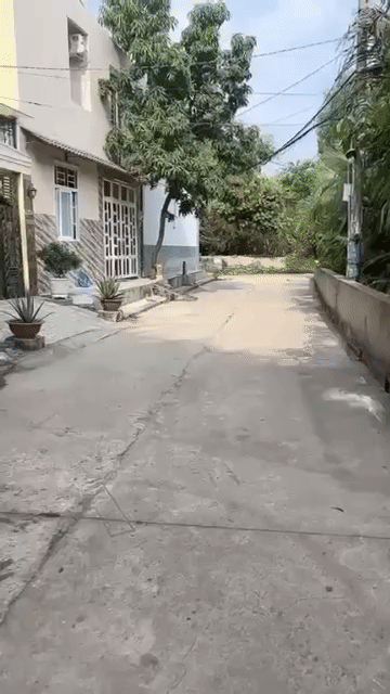 Cho thuê Nhà ở Thành phố Thủ Đức Tp Hồ Chí Minh diện tích 30 m² giá 6 triệu/tháng