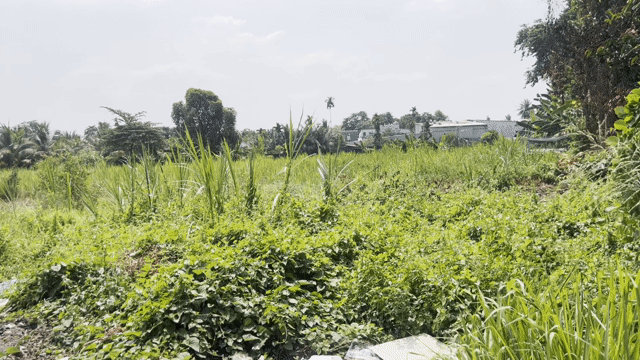 Mua bán Đất Huyện Hóc Môn Tp Hồ Chí Minh diện tích 6300 m² giá 6,5 triệu