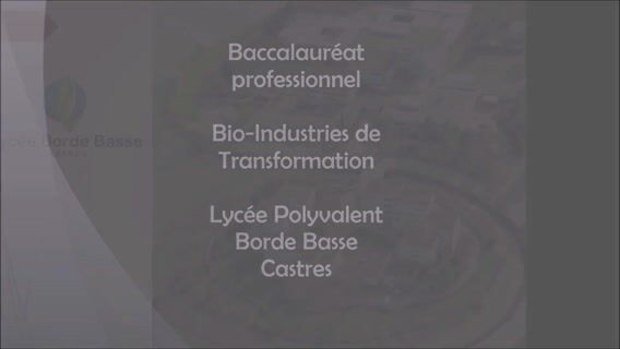 C'est quoi le bac pro BIT ?