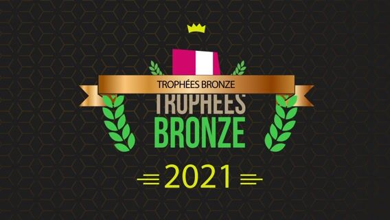 C'est quoi le bac pro BIT ?