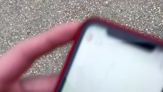 Bref, je suis en licence professionnelle transformation et valorisation des agro-ressources