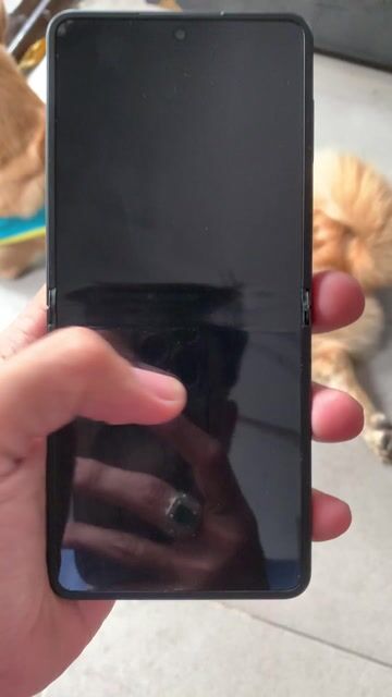 Samsung Z flip 7 256gb/12gb ram 2sim (1sim+esim). Mua bán Điện thoại tại Quận Phú Nhuận Tp Hồ Chí Minh được đăng bởi Tấn Dũng hình 1