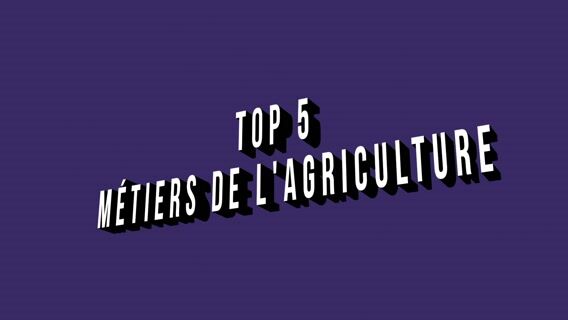 ééé&éé"&test