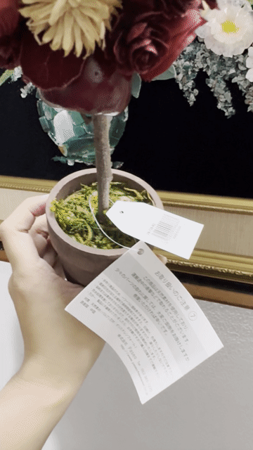 Chậu cây giả trang trí để bàn màu Đỏ. Mua bán Cây cảnh, đồ trang trí tại Huyện Bình Chánh Tp Hồ Chí Minh được đăng bởi SHOP SI JP hình 1