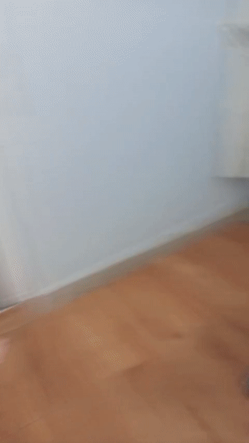 Cho thuê Phòng trọ Quận Gò Vấp Tp Hồ Chí Minh diện tích 20 m² giá 2,5 triệu/tháng