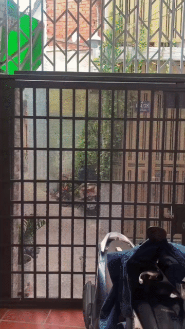 Cho thuê Nhà ở Quận 3 Tp Hồ Chí Minh diện tích 38 m² giá 15 triệu/tháng