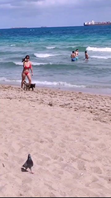Woman in red bikini walking dog on beach, standard medium/full shots, no close-ups