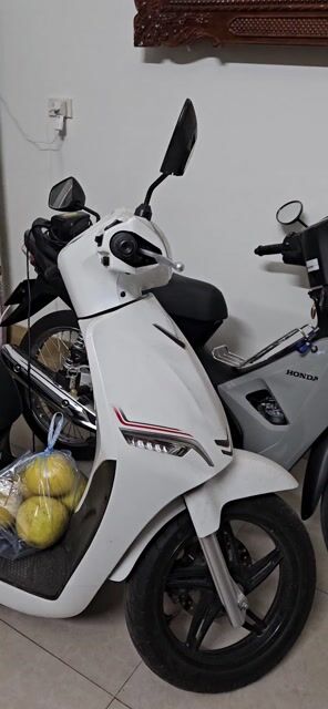 Cần bán xe điện VINFAST FELIZ ít đi,xe nữ dùng đẹp. Mua bán Xe điện tại Thành phố Thái Bình Thái Bình được đăng bởi Ng Minh Trang hình 1