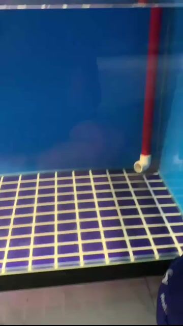 Hồ cá kính 1m x 50cm x 50cm. Mua bán Phụ kiện, Thức ăn, Dịch vụ tại Quận 4 Tp Hồ Chí Minh được đăng bởi Trung hình 1