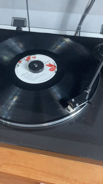 Đầu đĩa than DENON DP-300F Đen Rất mới, 220v. Mua bán Tivi, Âm thanh tại Quận Bình Thạnh Tp Hồ Chí Minh được đăng bởi Đao Hai hình 1