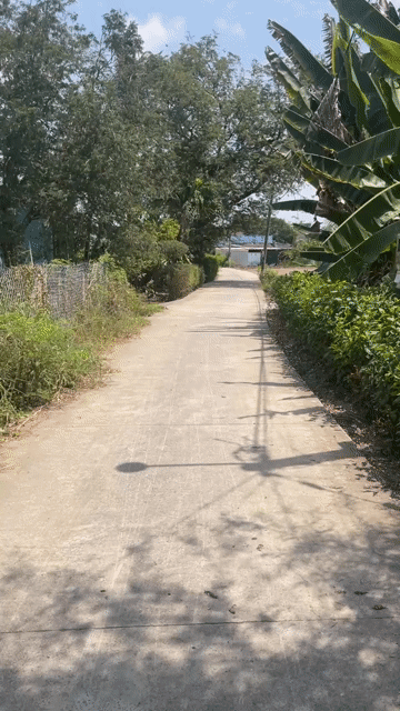 Mua bán Đất Thị xã Gò Công Tiền Giang diện tích 124 m² giá 410 triệu