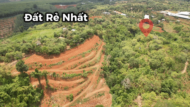 Mua bán Đất Huyện Cẩm Mỹ Đồng Nai diện tích 10000 m² giá 1,8 tỷ
