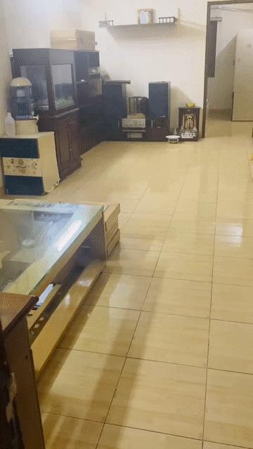 Mua bán Căn hộ Chung cư Chung cư Cửu Long Quận Bình Thạnh Tp Hồ Chí Minh diện tích 82 m² giá 4,1 tỷ