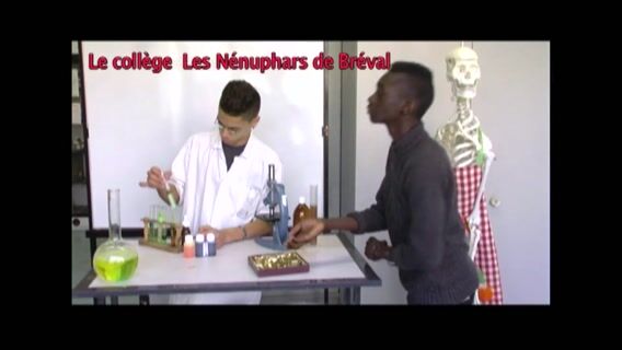 Jamy et la chocolaterie