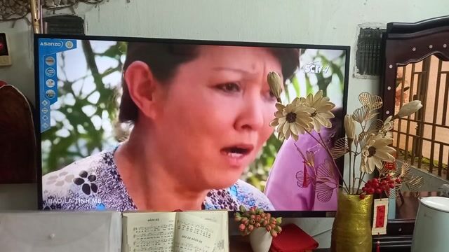 Tivi ASANZO 43AT500. Mua bán Tivi, Âm thanh tại Quận Gò Vấp Tp Hồ Chí Minh được đăng bởi Thắng hình 1