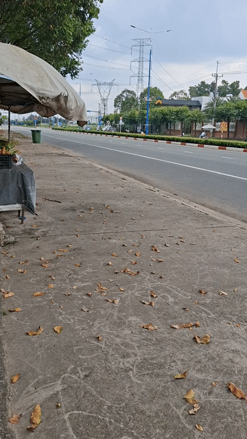 Cho thuê Văn phòng, Mặt bằng kinh doanh Thành phố Thủ Dầu Một Bình Dương diện tích 56 m² giá 5 triệu/tháng