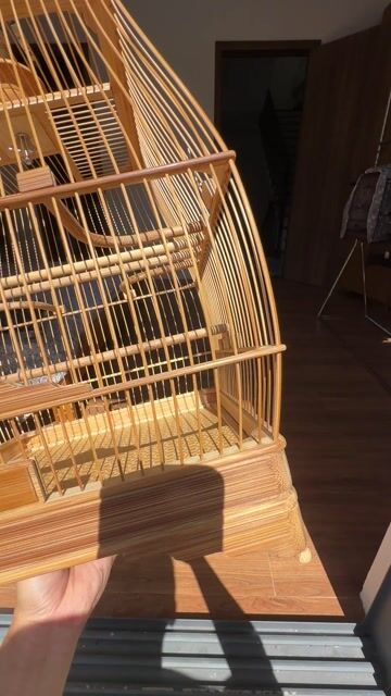 SING KÉOTIA. Mua bán Phụ kiện, Thức ăn, Dịch vụ tại Quận Hải Châu Đà Nẵng được đăng bởi Mẫn hình 1