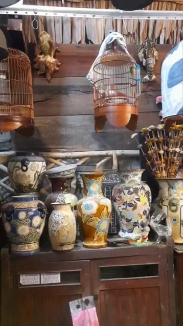 khoen líu pha chòe. Mua bán Chim tại Quận 10 Tp Hồ Chí Minh được đăng bởi Tran HY hình 1