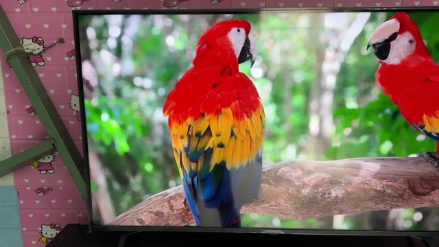 Tivi LG 43UP7750PTB 4K tràn viền,giọng nói. Mua bán Tivi, Âm thanh tại Huyện Hòa Vang Đà Nẵng được đăng bởi Văn Quang hình 1