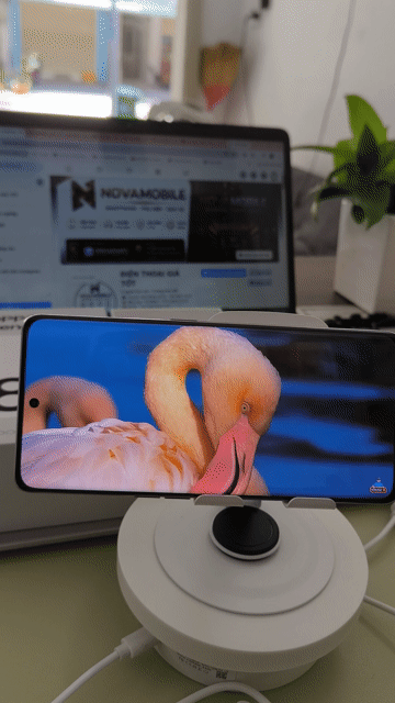 Oppo Reno 8T 5G 8GB/256GB Fullbox. Mua bán Điện thoại tại Huyện Bàu Bàng Bình Dương được đăng bởi MobileShop Nova hình 1