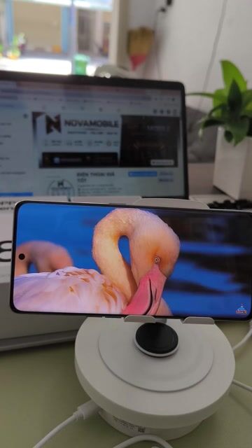 Oppo Reno 8T 5G 8GB/256GB Fullbox. Mua bán Điện thoại tại Huyện Bàu Bàng Bình Dương được đăng bởi MobileShop Nova hình 1