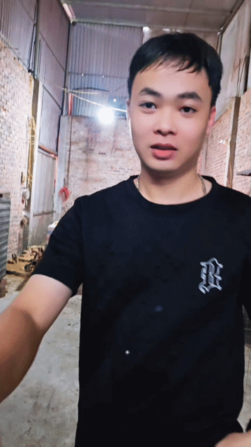 Gà chọi trống 6lg đã vacxin đầy đủ. Mua bán Gà tại Huyện Sóc Sơn Hà Nội được đăng bởi công đô hình 1