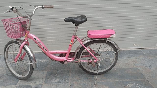 Xe đạp Thống Nhất 20 inch Hồng. Mua bán Xe đạp tại Quận Cầu Giấy Hà Nội được đăng bởi Thuc hình 1