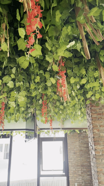 Trang trí trần nhà nhựa Thiên nhiên. Mua bán Cây cảnh, đồ trang trí tại Quận Sơn Trà Đà Nẵng được đăng bởi lâm hình 1