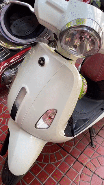 SYM Attila 50 2022 Việt Nam. Mua bán Xe máy tại Thành phố Tuy Hòa Phú Yên được đăng bởi Công Nguyên Đinh hình 1