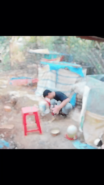 Gà chọi 3 kg. Mua bán Gà tại Thành phố Buôn Ma Thuột Đắk Lắk được đăng bởi phạm danh hình 1